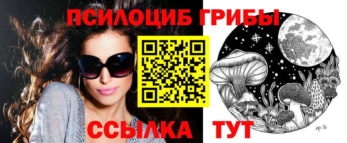 Галлюциногенные грибы Psilocybine cubensis Котлас