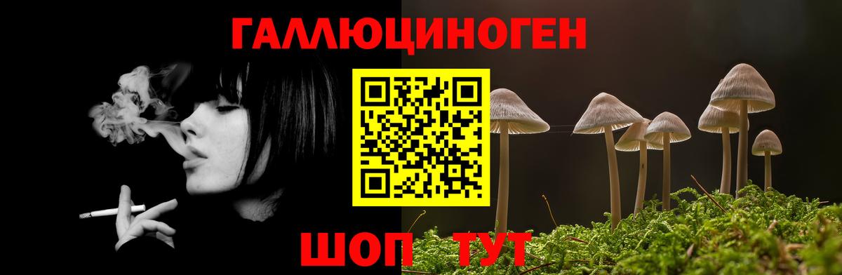 Котлас  Псилоцибиновые грибы мицелий  Вход с VPN 